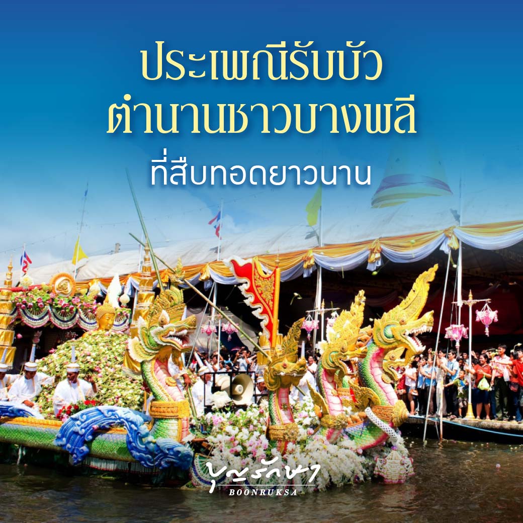 ประเพณีรับบัว ตำนานชาวบางพลีที่สืบทอดยาวนาน